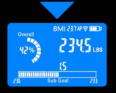 The scale displays  your overall profile