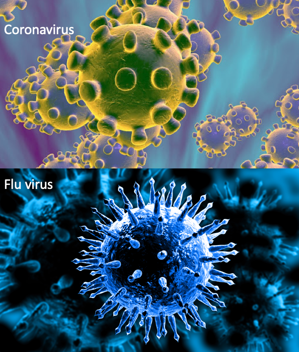New Coronavirus VS The Flu